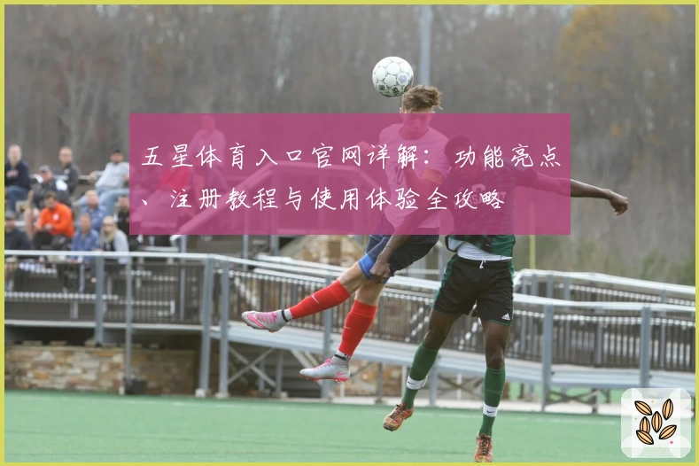 五星体育入口官网详解：功能亮点、注册教程与使用体验全攻略