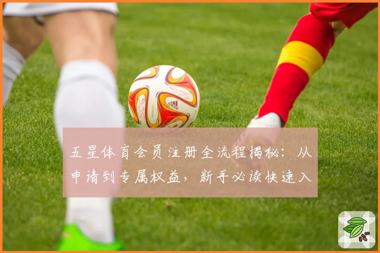 五星体育会员注册全流程揭秘：从申请到专属权益，新手必读快速入门指南