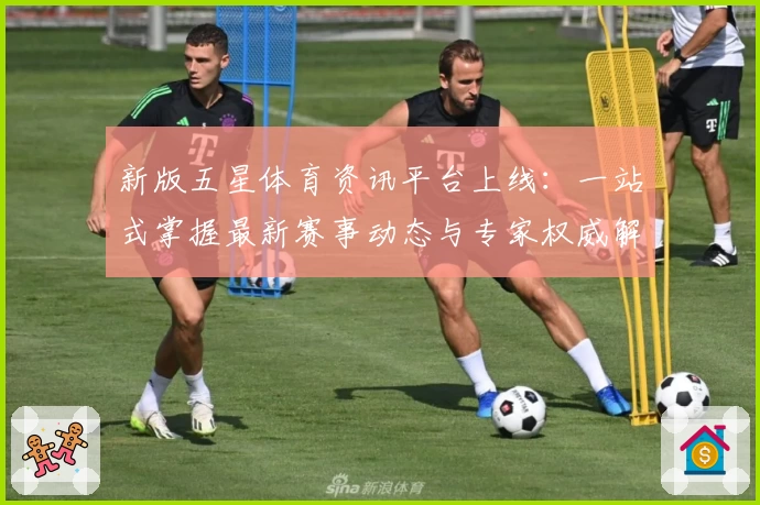 新版五星体育资讯平台上线:一站式掌握最新赛事动态与专家权威解析