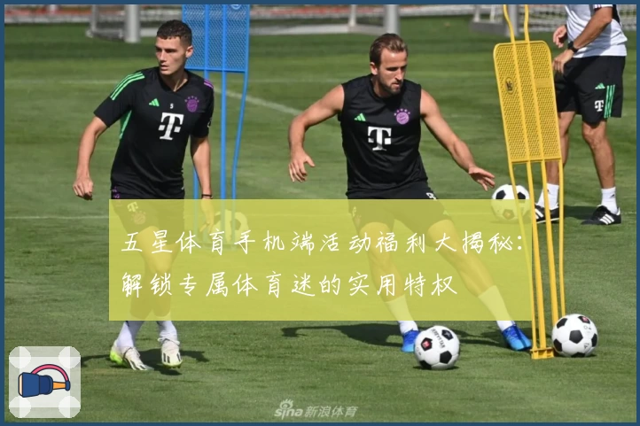 五星体育手机端活动福利大揭秘：解锁专属体育迷的实用特权