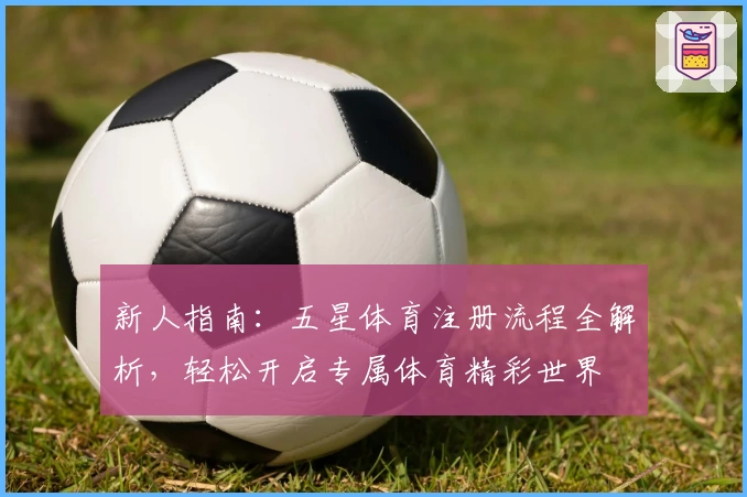 新人指南：五星体育注册流程全解析，轻松开启专属体育精彩世界