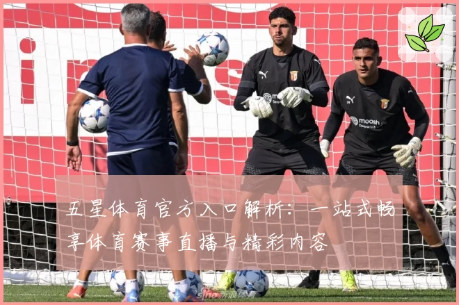 五星体育官方入口解析:一站式畅享体育赛事直播与精彩内容