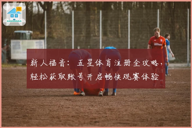 新人福音：五星体育注册全攻略，轻松获取账号开启畅快观赛体验